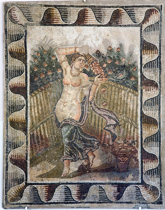 Flora